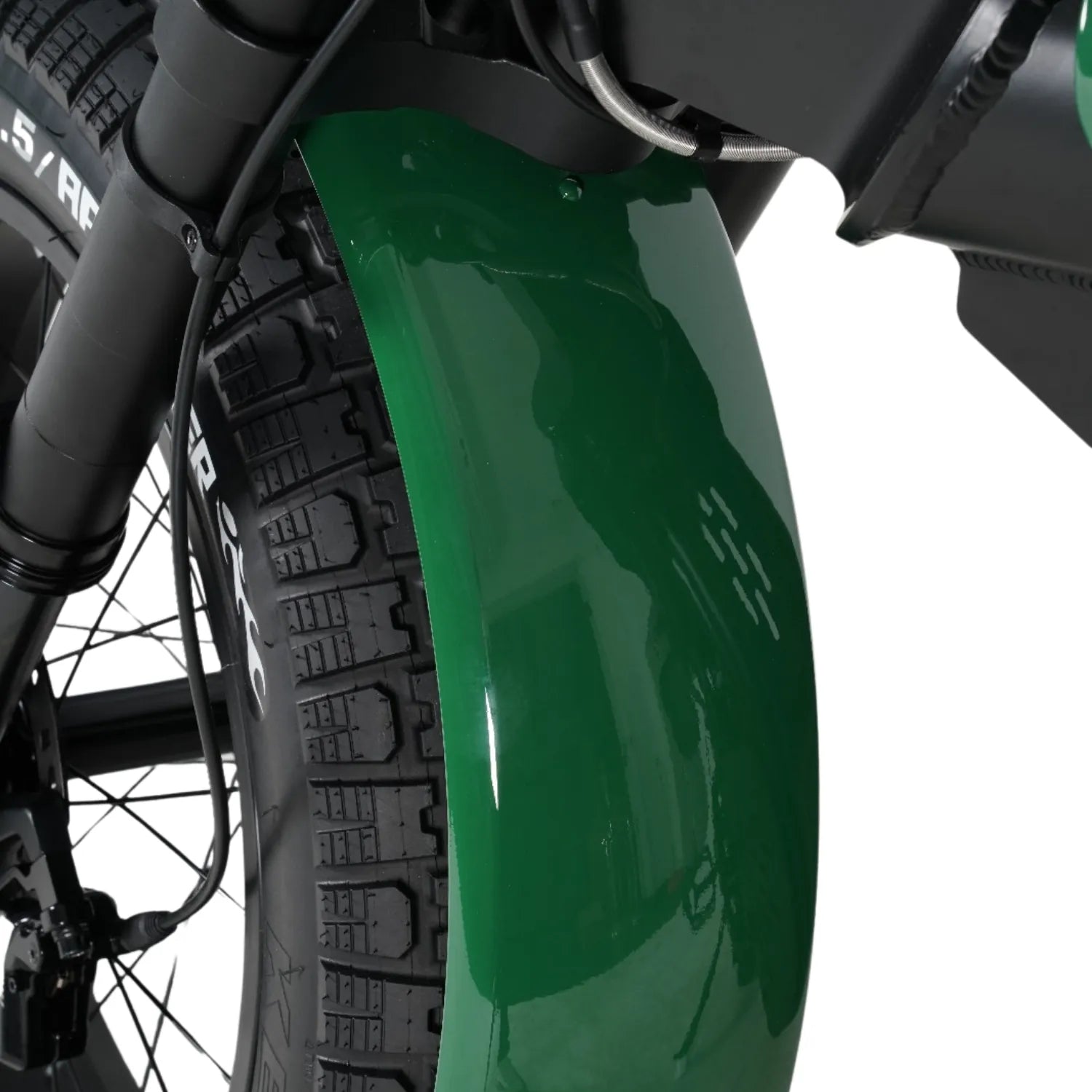 Tamarin - Irish Green