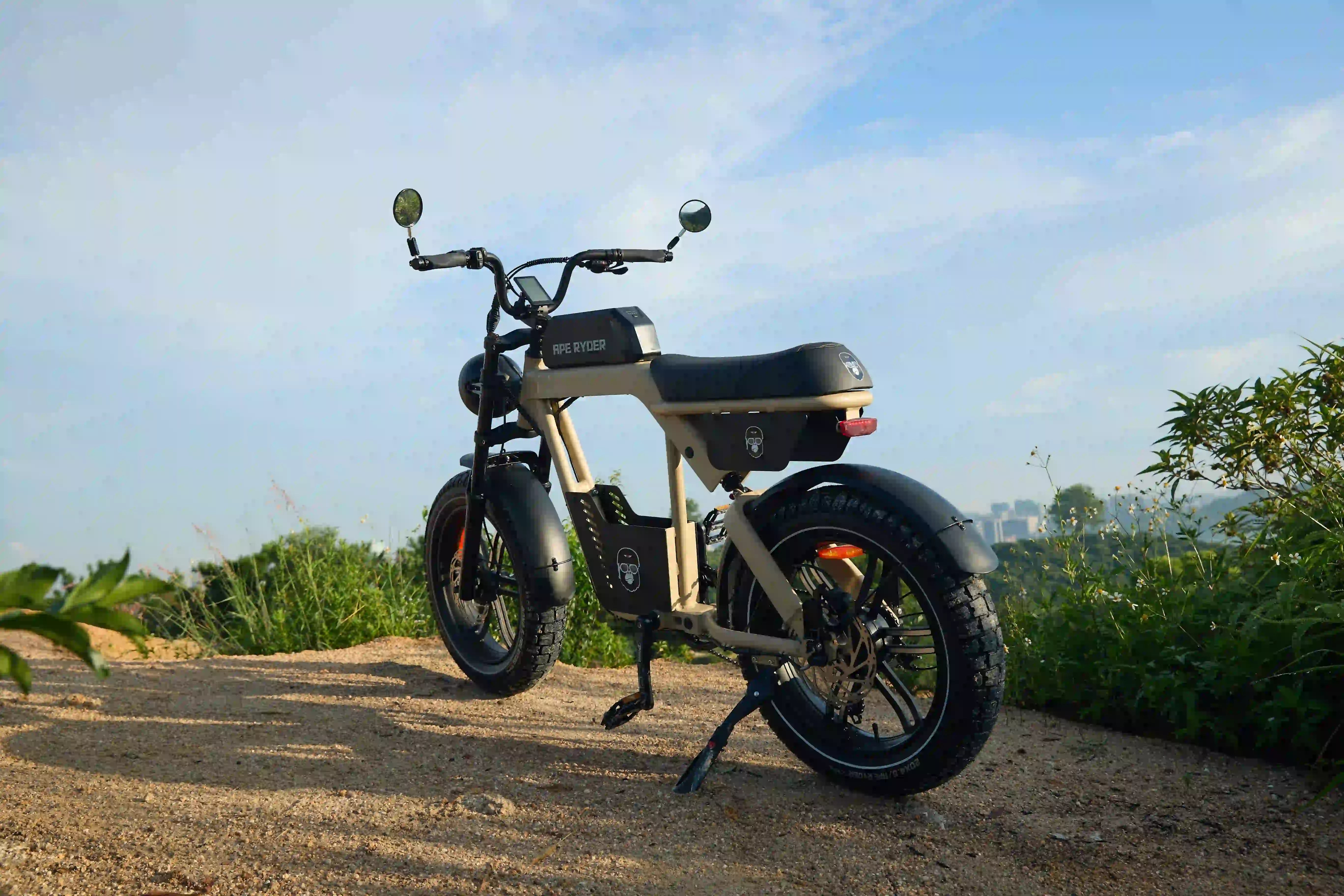 e-mountain bike standing