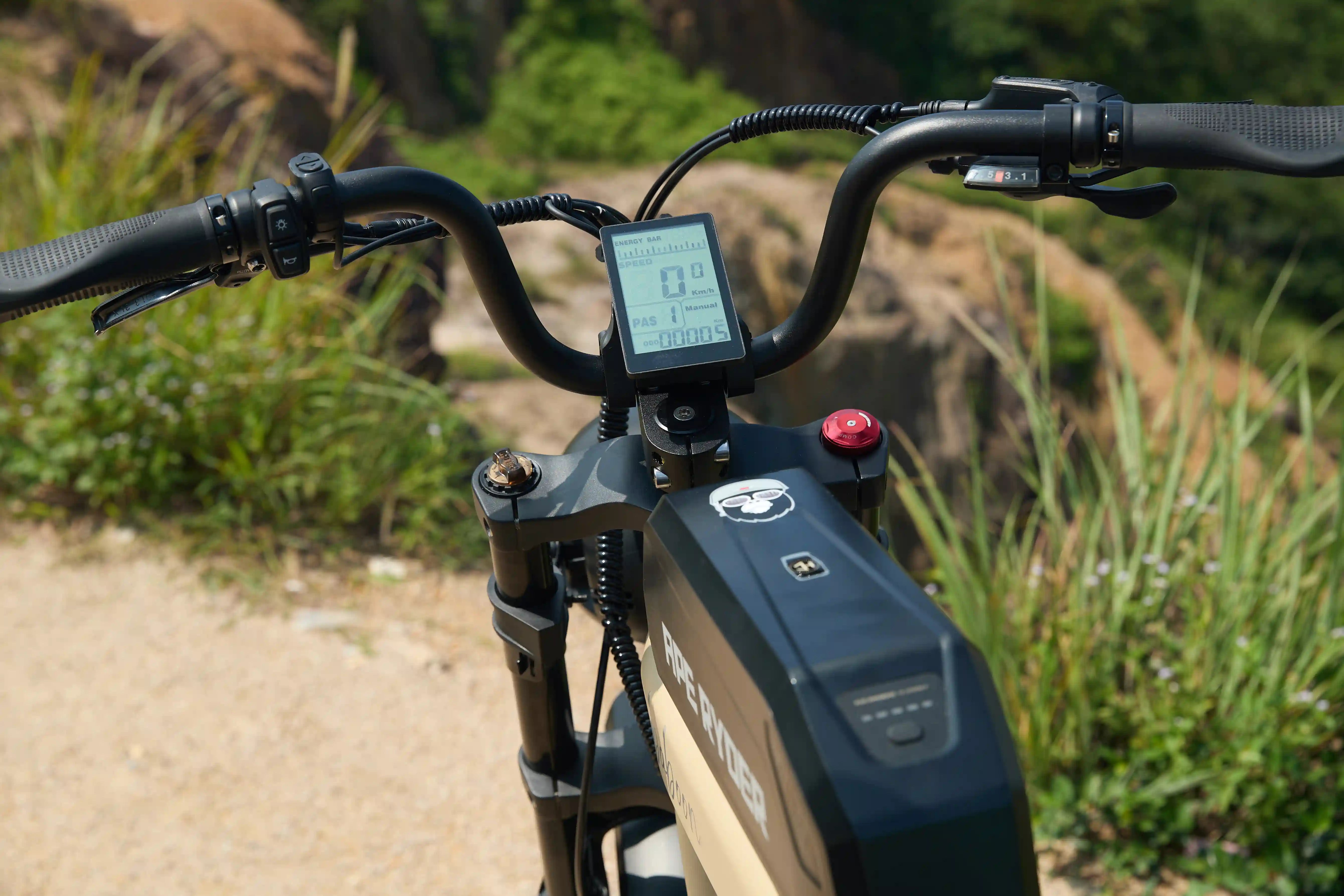 e-mountain bike on the road
