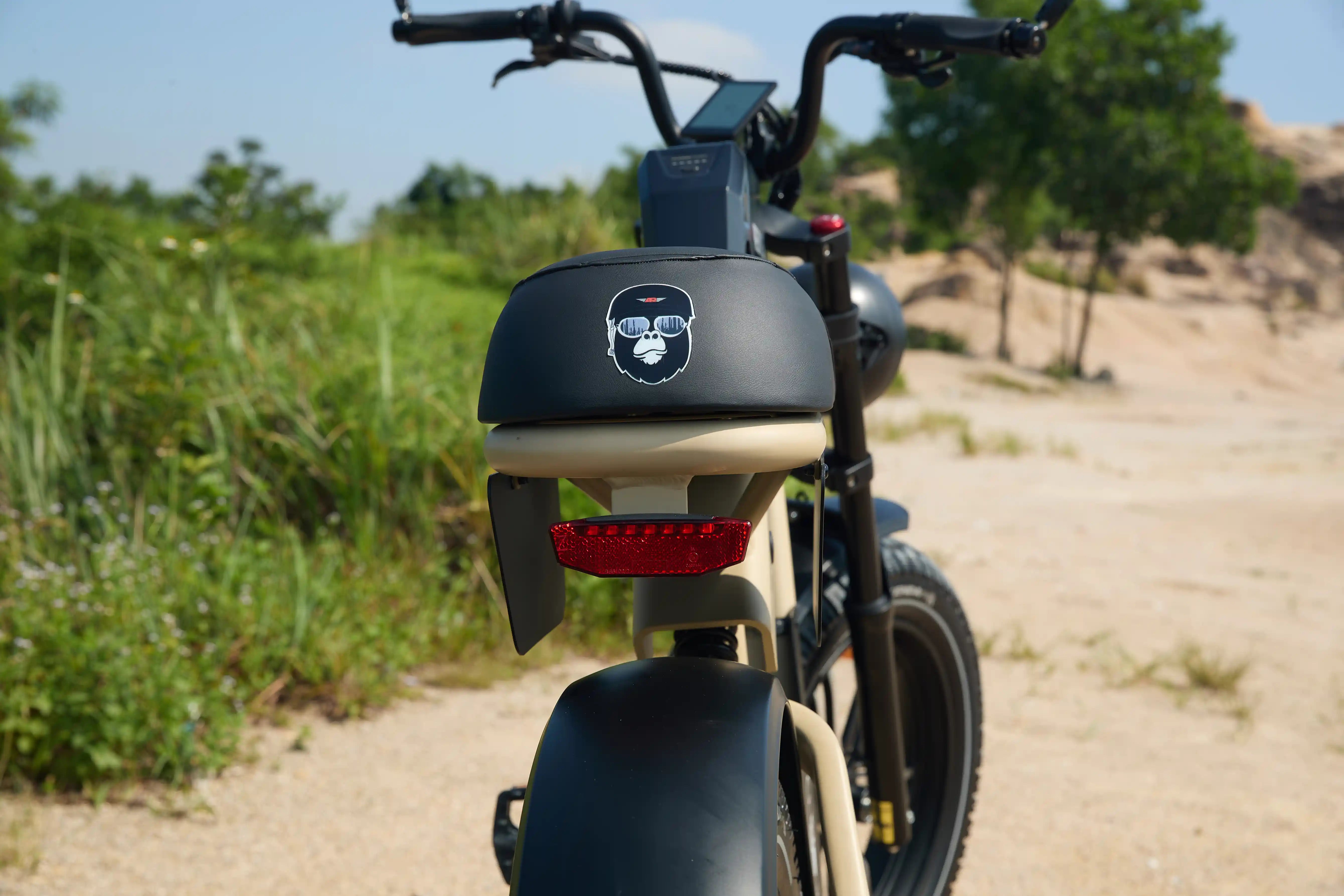 e-bike frame system
