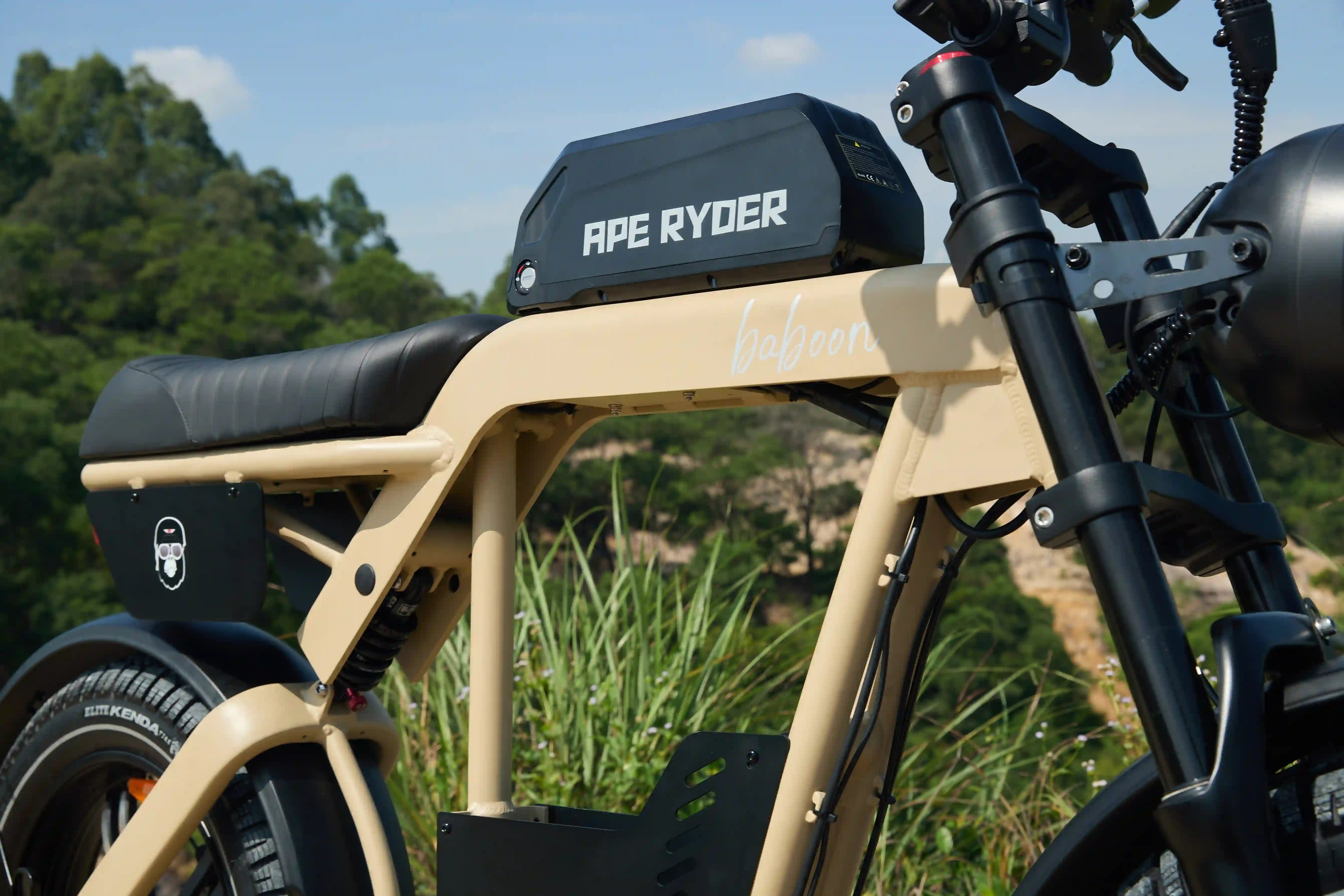 Ape Ryder e-bike frame