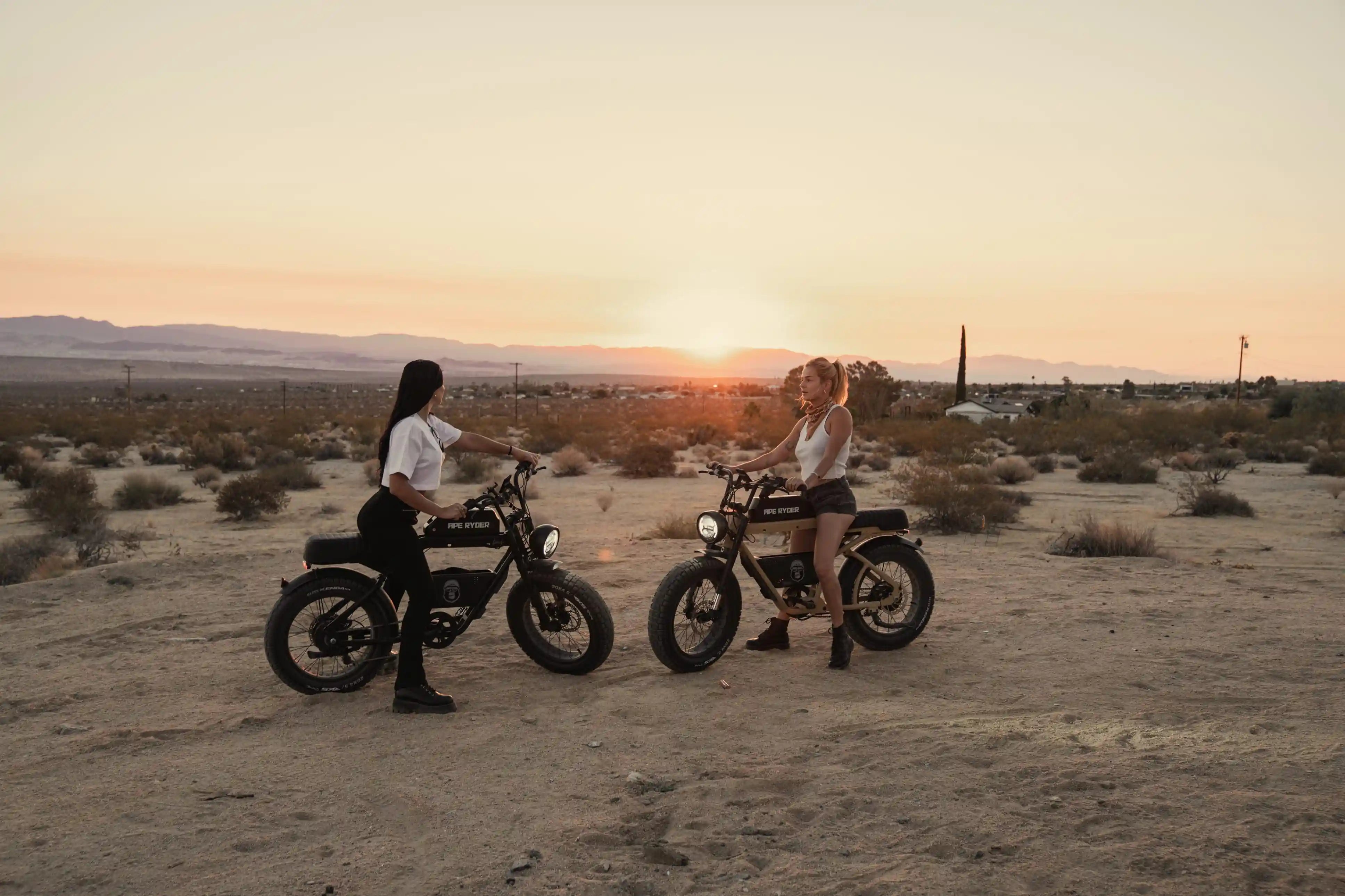 two e-bikes