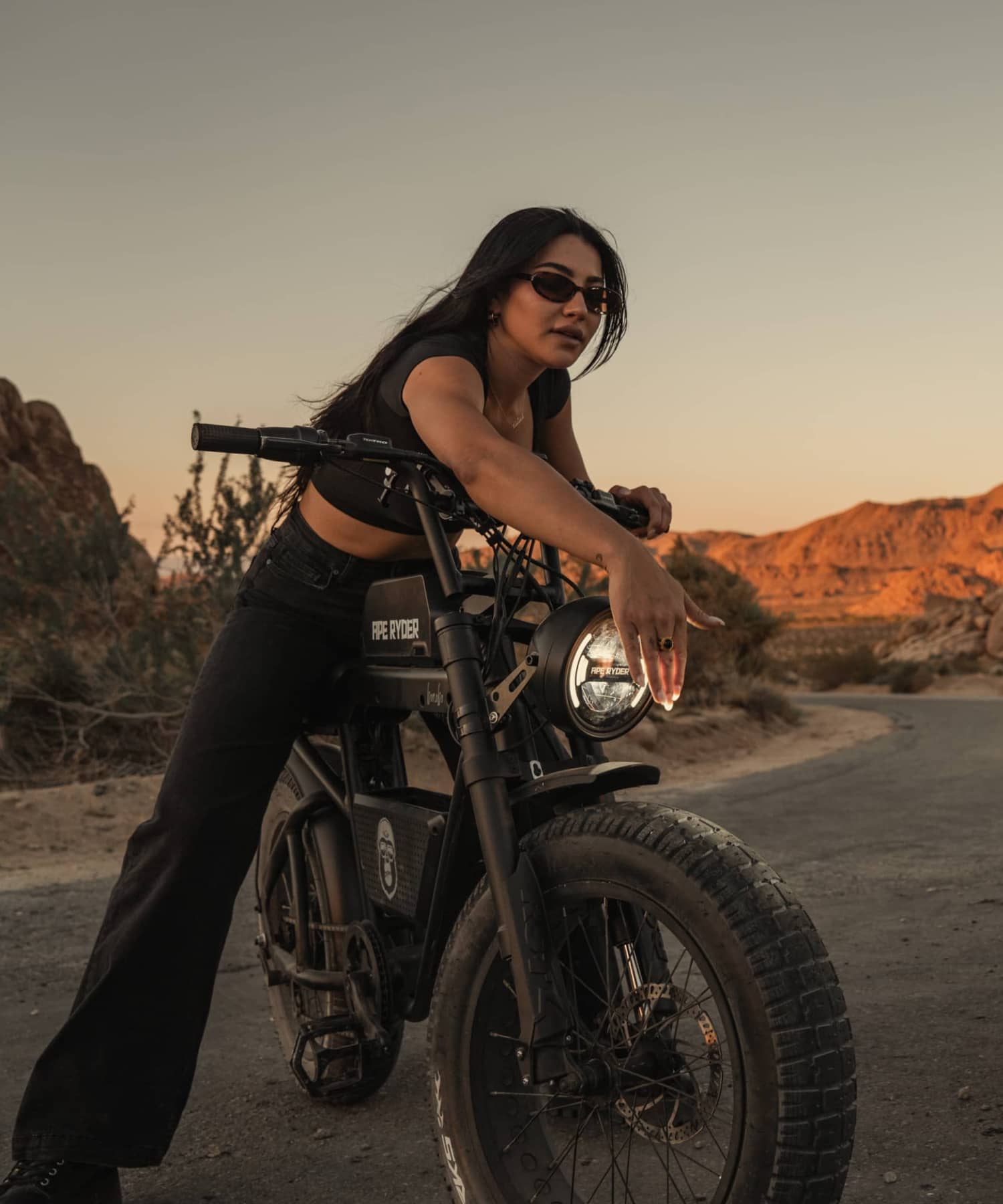 adventure fat tire e-bike