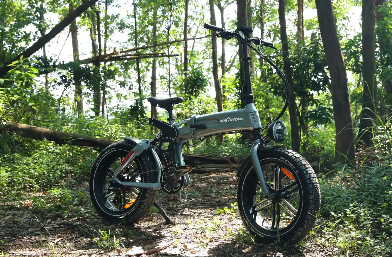 forest e-bike