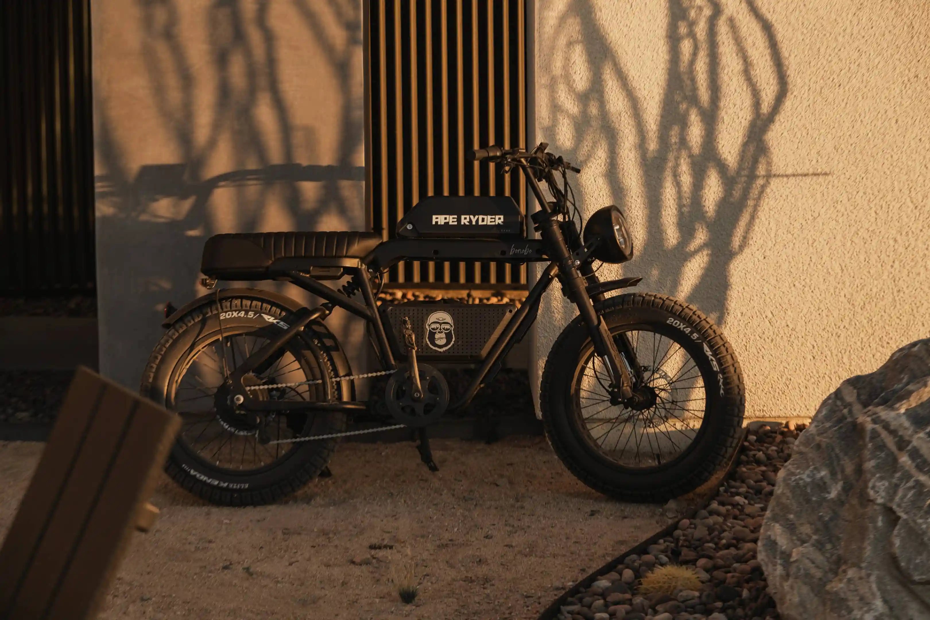 bonobo e-bike