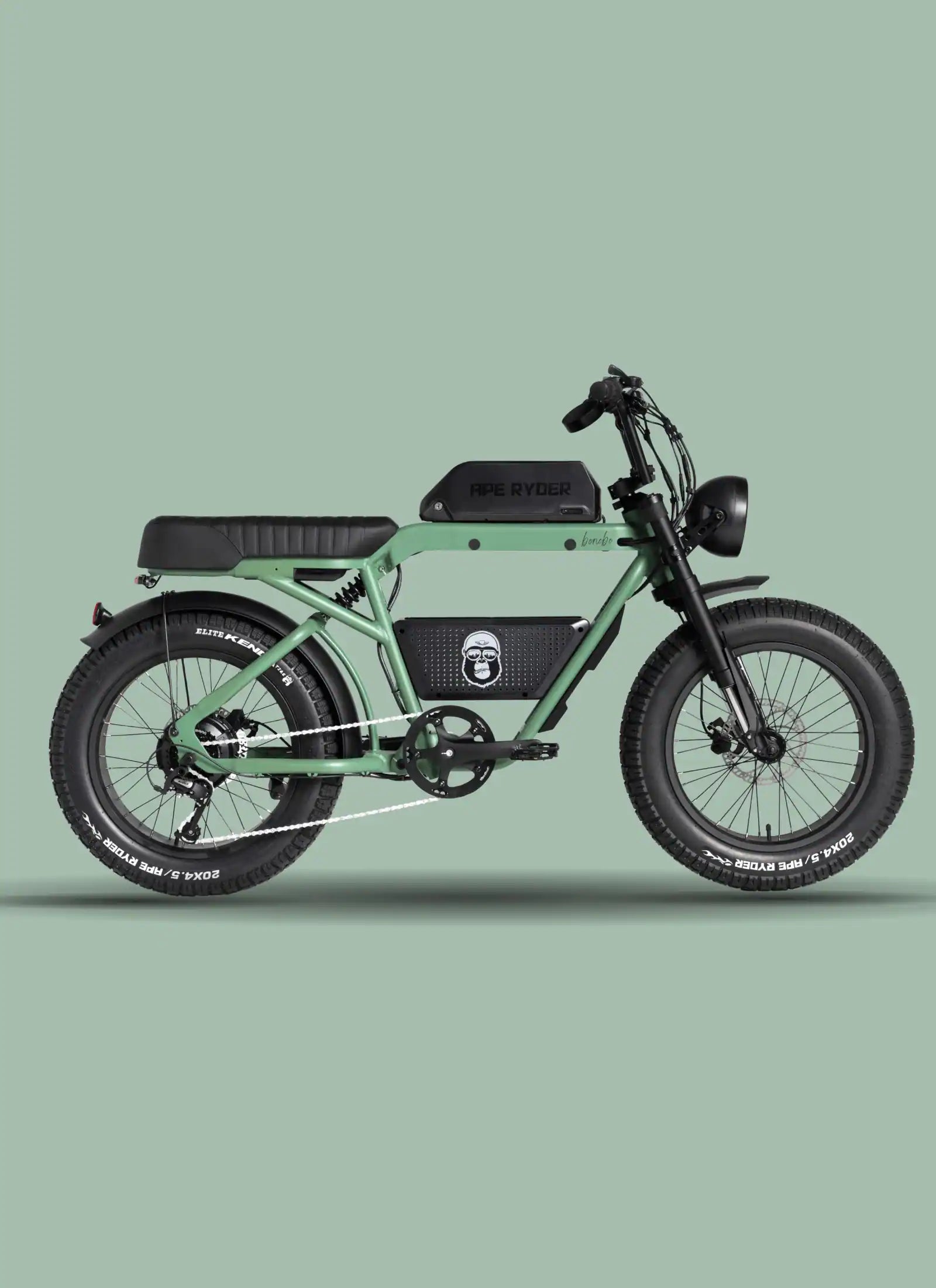 bonobo e-bike forest model