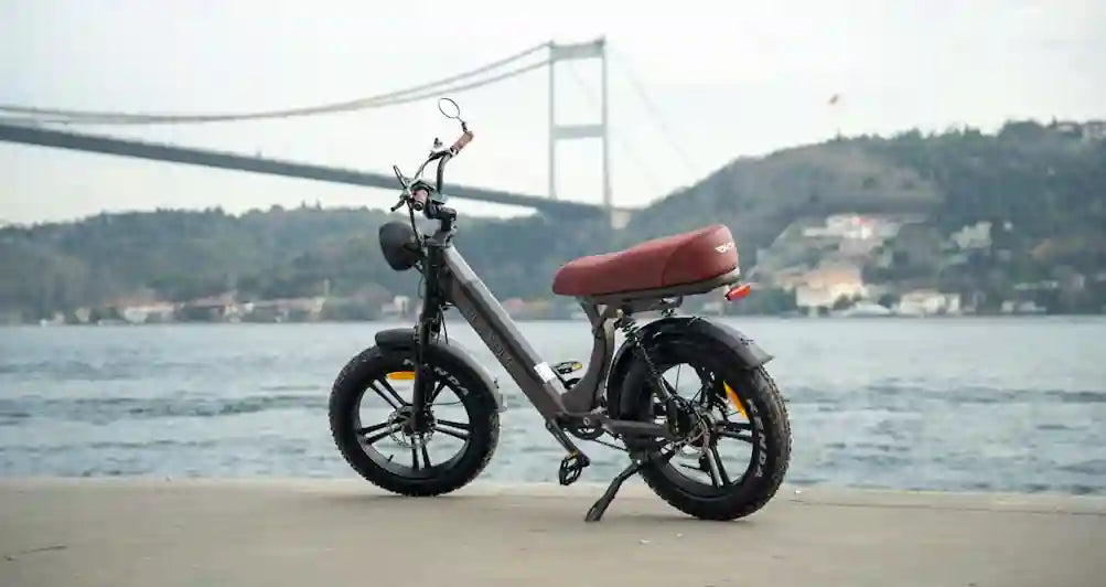 gibbon e-bike near sea